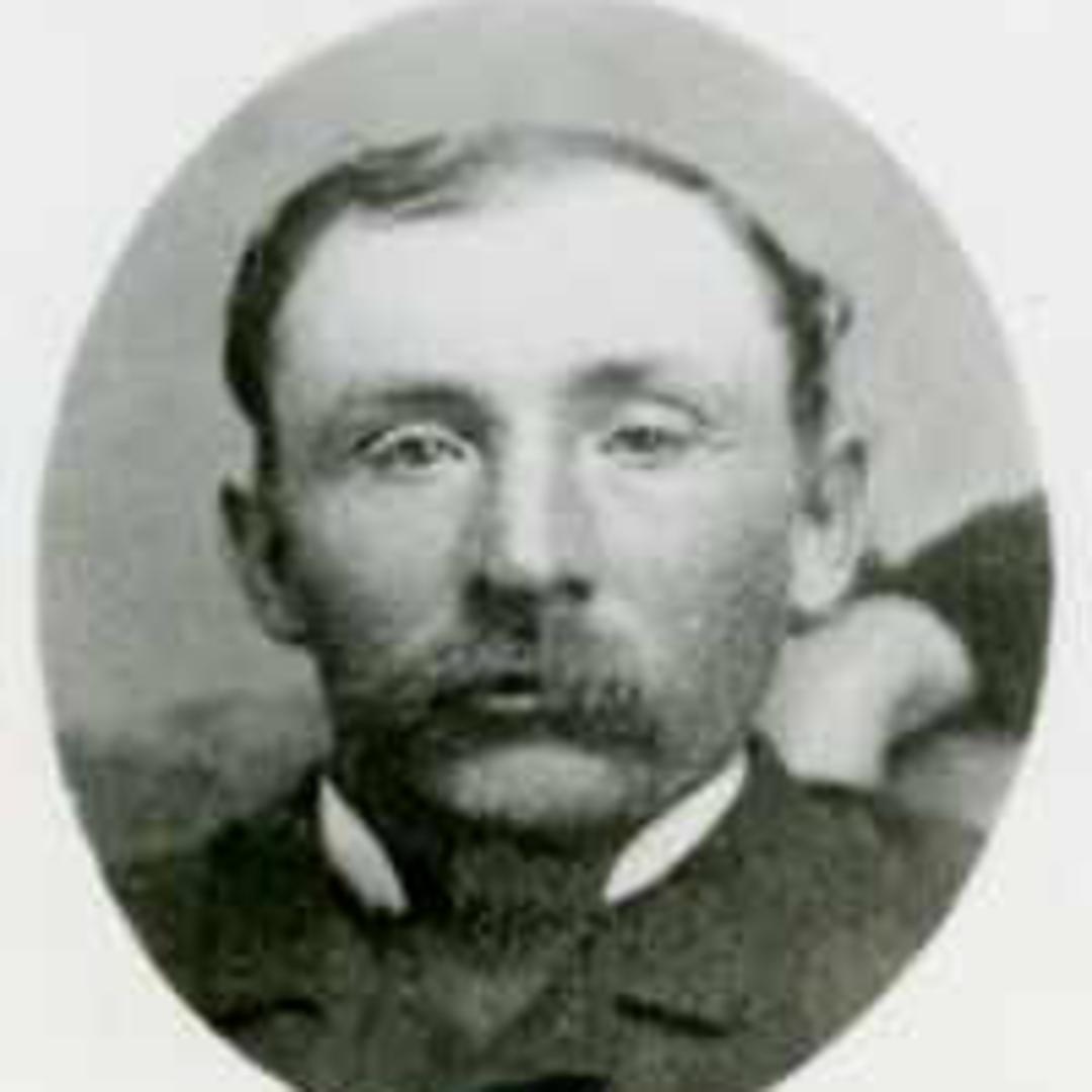 Aaron Gay (1848 - 1910) Profile